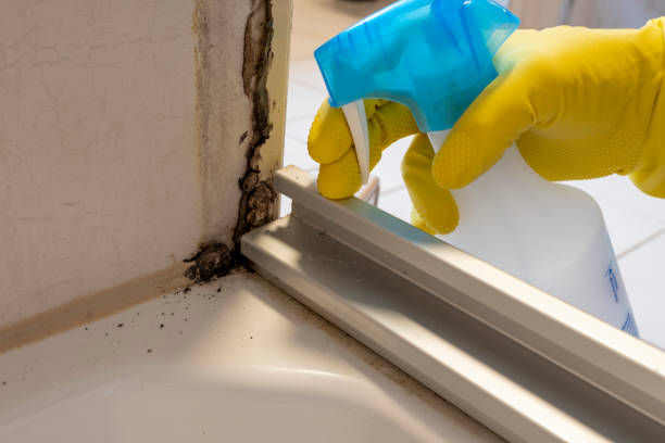 Best Real Estate Mold Inspection  in Machesney Park, IL